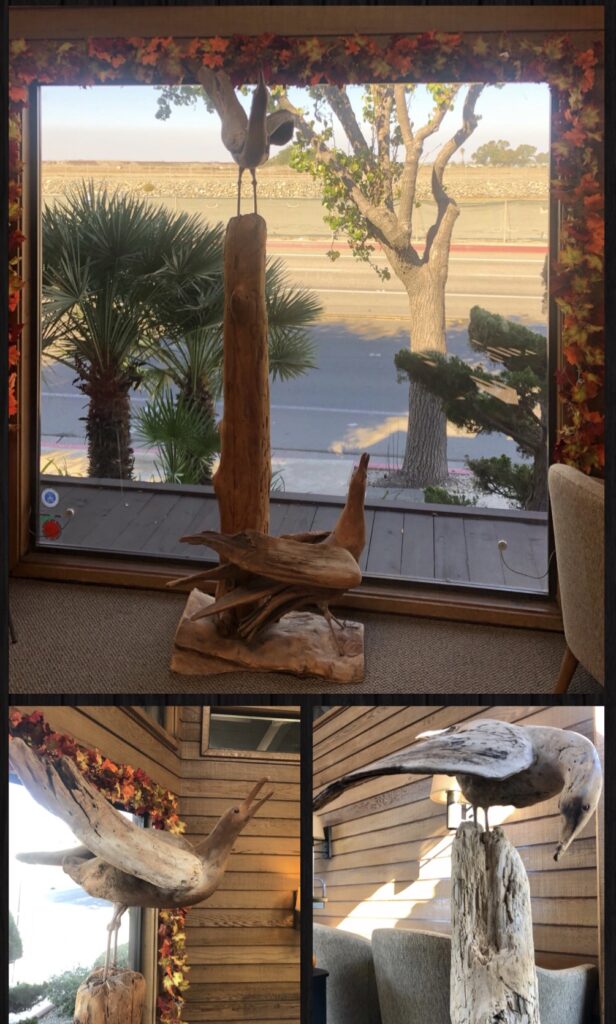 wooden sculptures of birds in dr banta's office